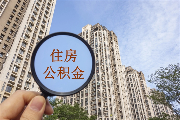七台河离职后公司不给转公积金怎么办（离职后公司不给转社保怎么办）